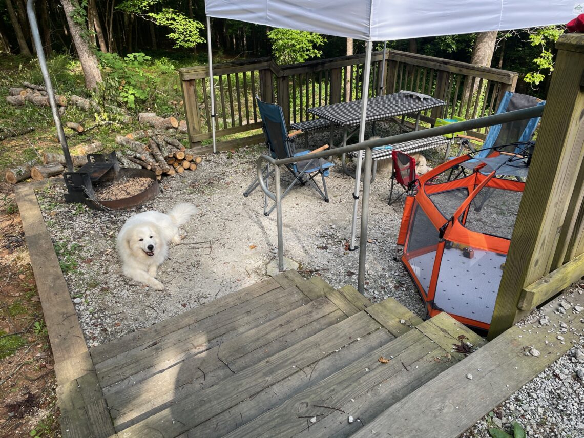 Level 2 Campsite 6 Hard Labor Creek State Park Imagine Camper