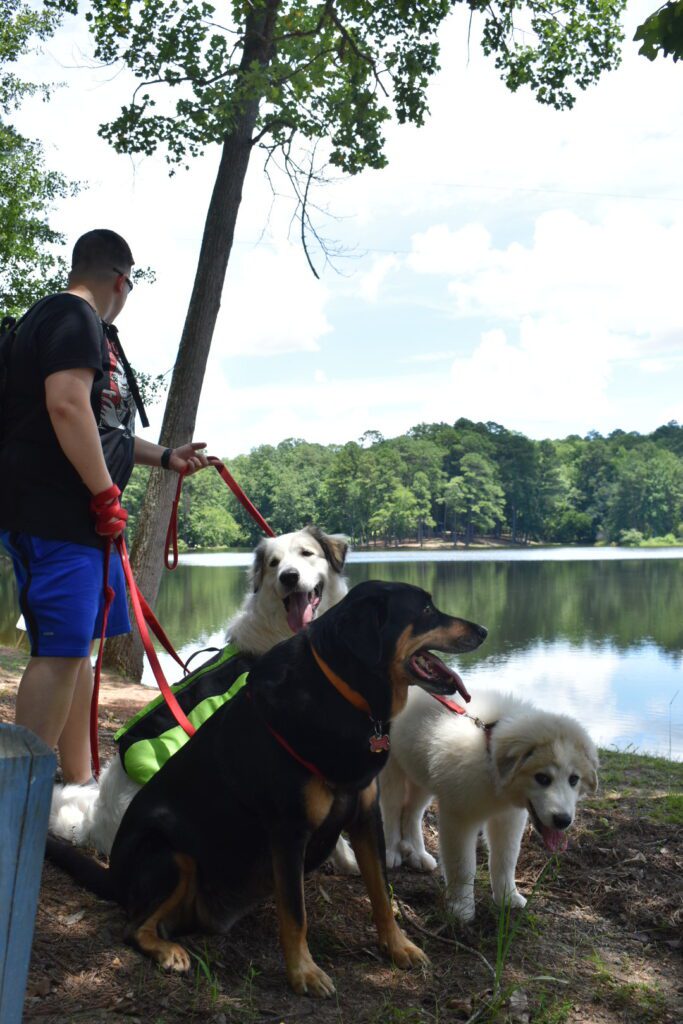 FDR State Park