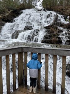 Vogel State Park waterfall