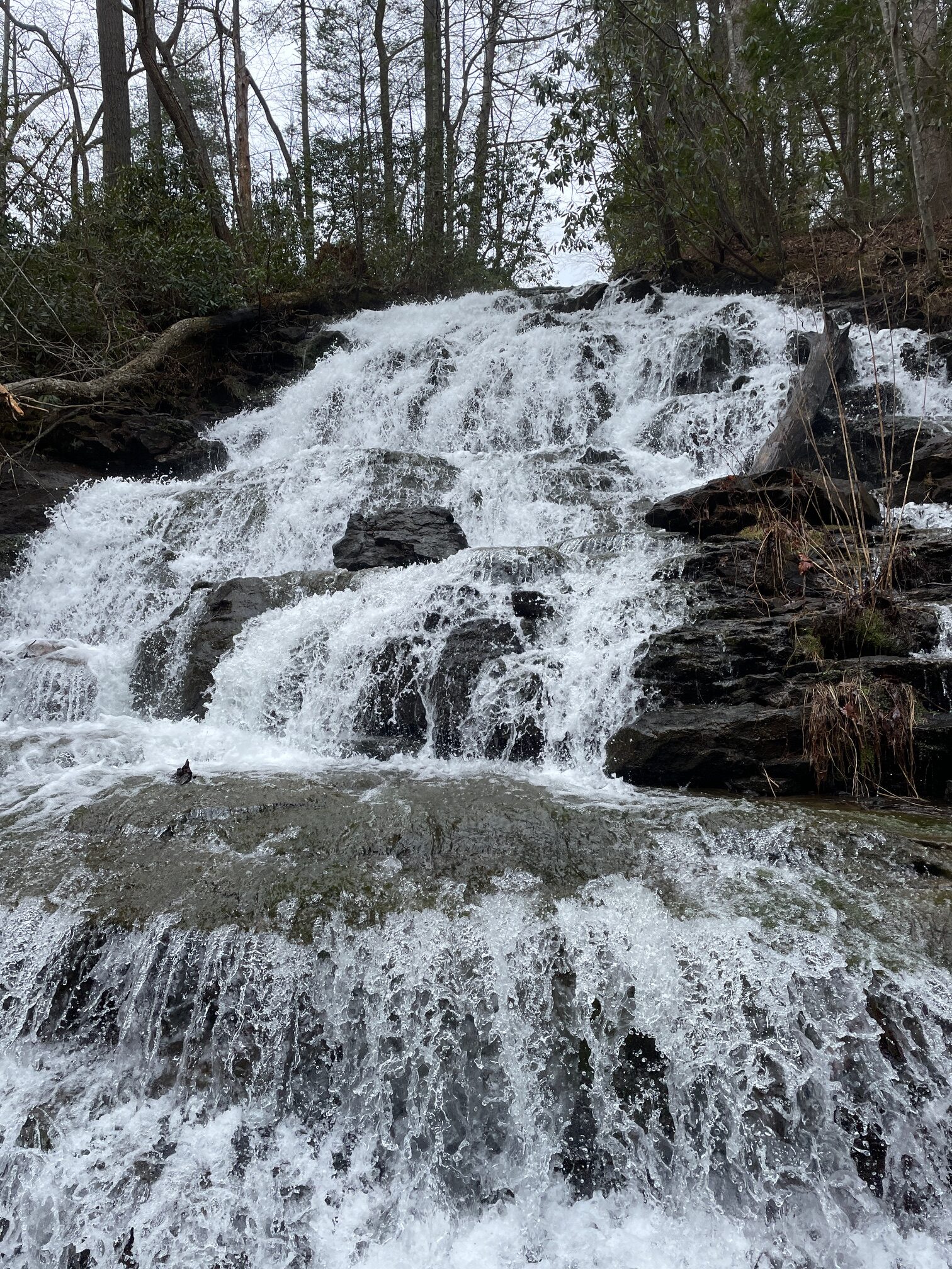 waterfallVogelstatepark Imagine Camper