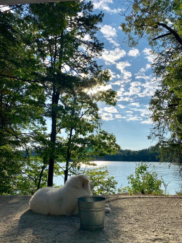 Escape to the Enchanting Duckett Mill Campground: Where History Meets Nature