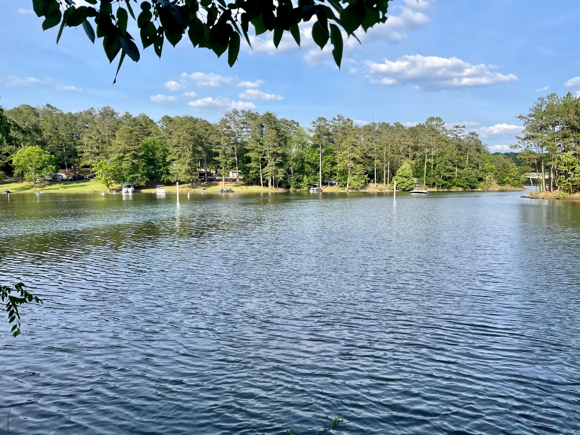 Bartow County Parks And Recreation - iqivgdg