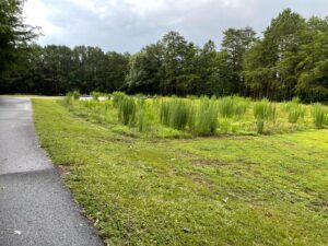 Duckett Mill Campground OVerflow parking