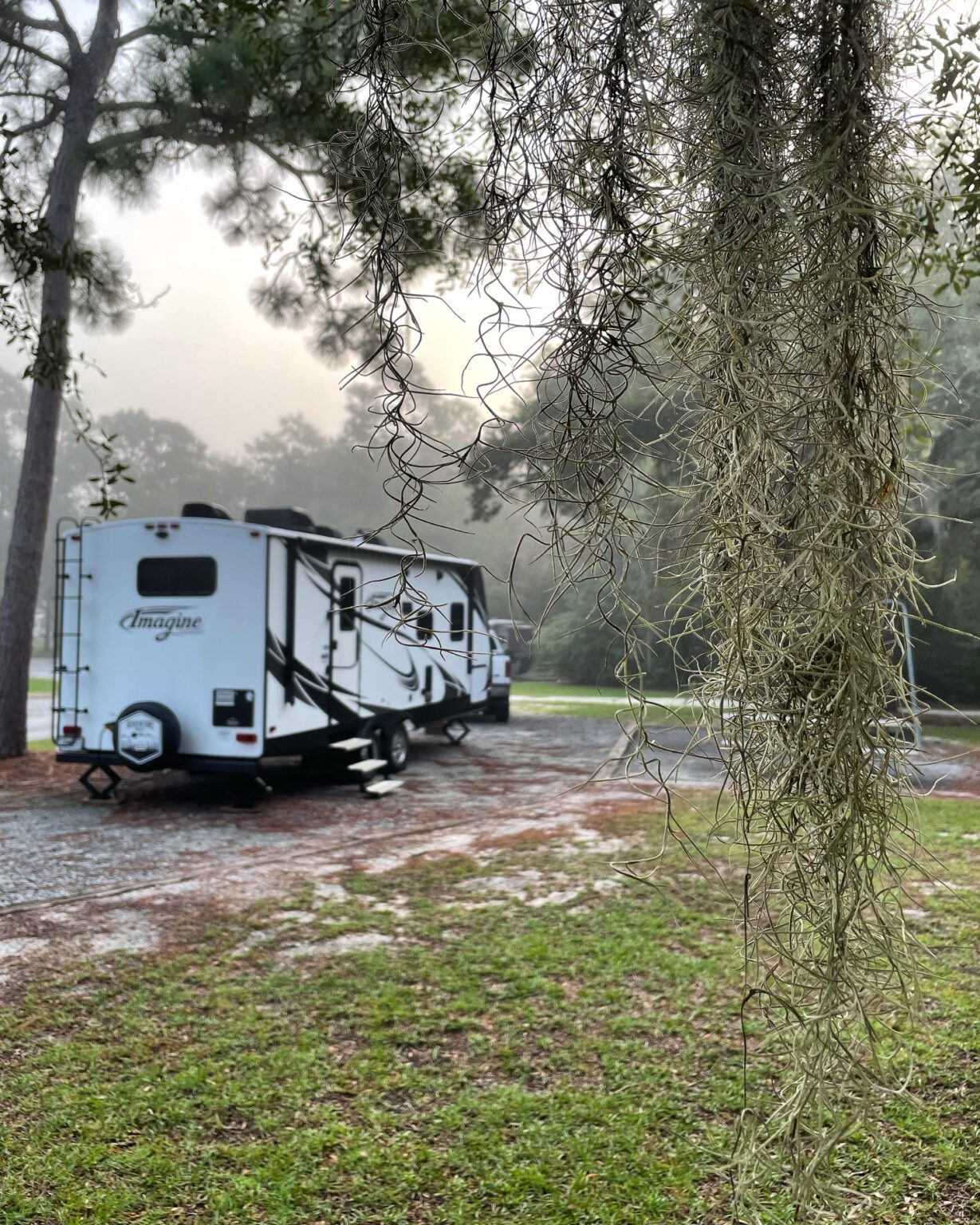 Collection 96+ Pictures reed bingham state park – campsite photos Updated