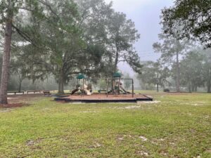 Playground Reed Bingham State Park