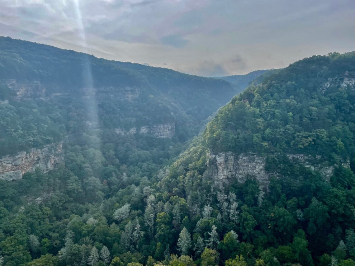 Cloudland Canyon State Park