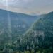 Cloudland Canyon State Park