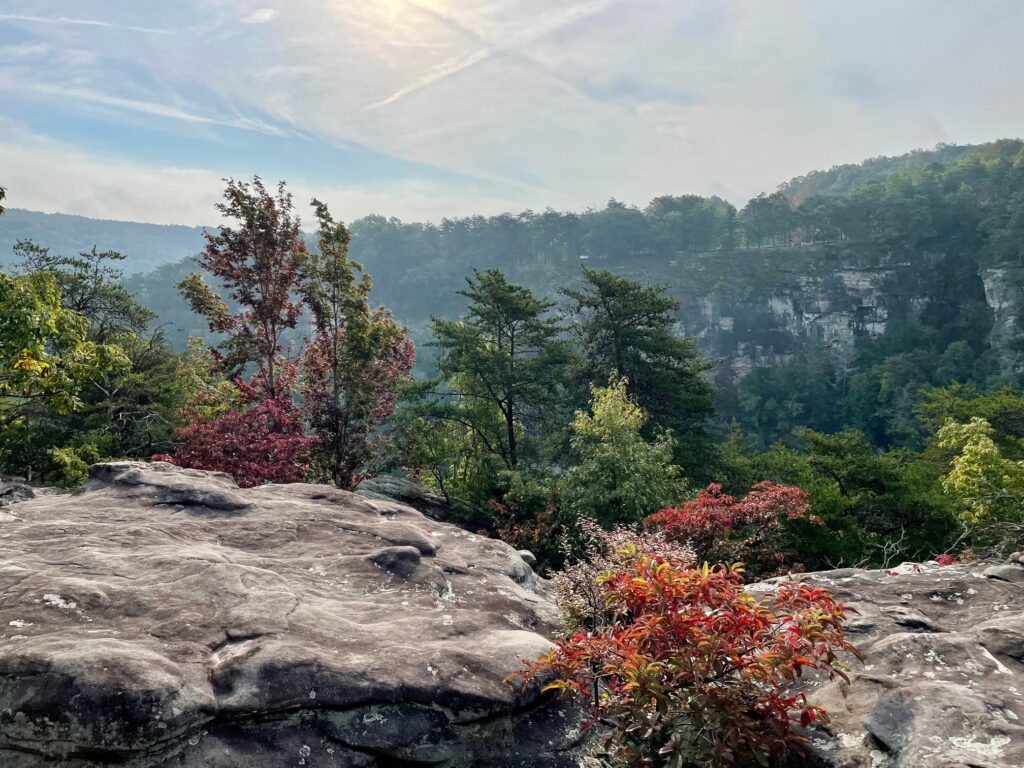 Cloudland Canyon State Park