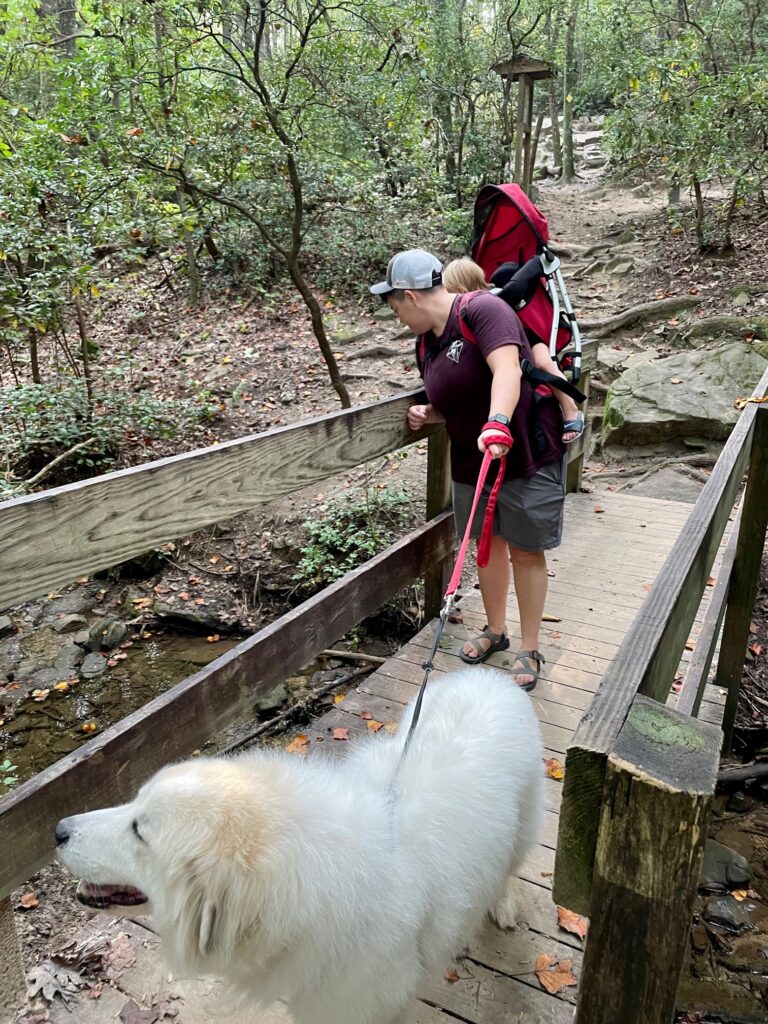 Hiking with dogs and toddlers