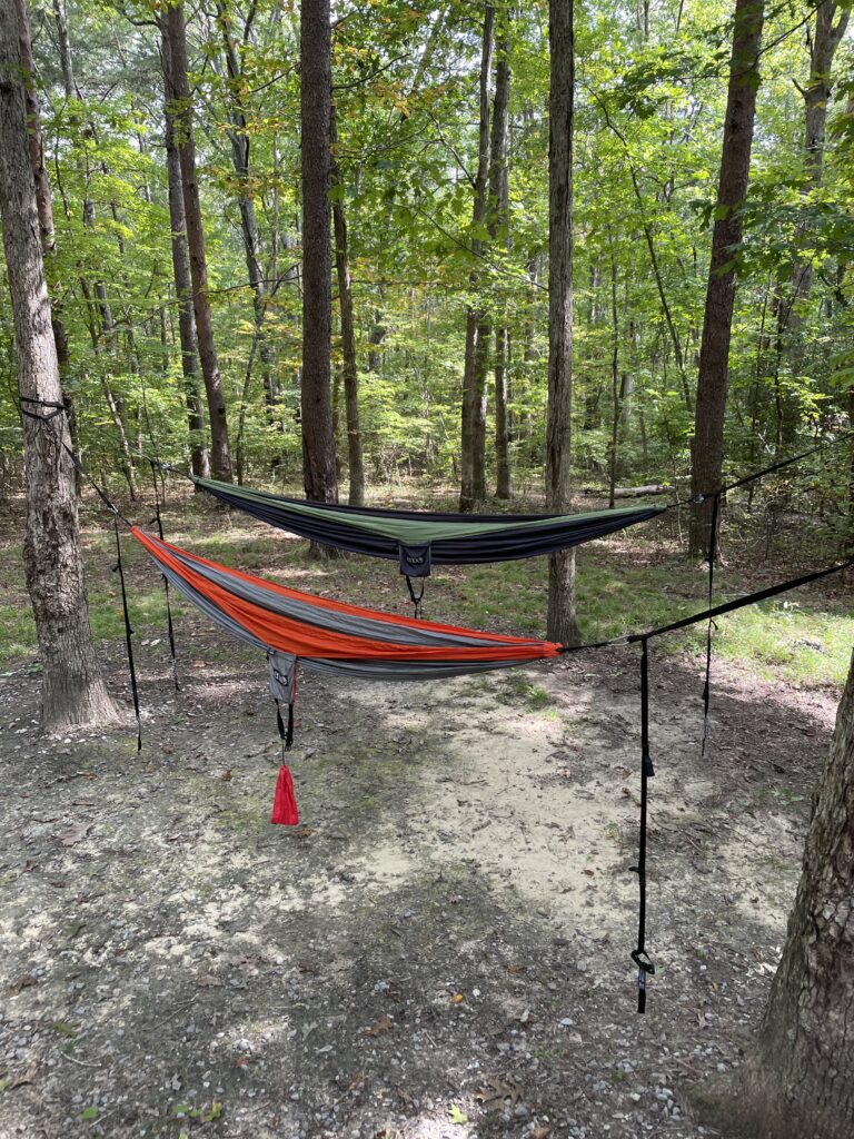 hammock trees site 8 