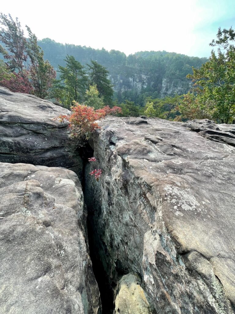 West Rim Trail