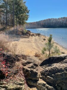 Red Top Mountain State Park site 50