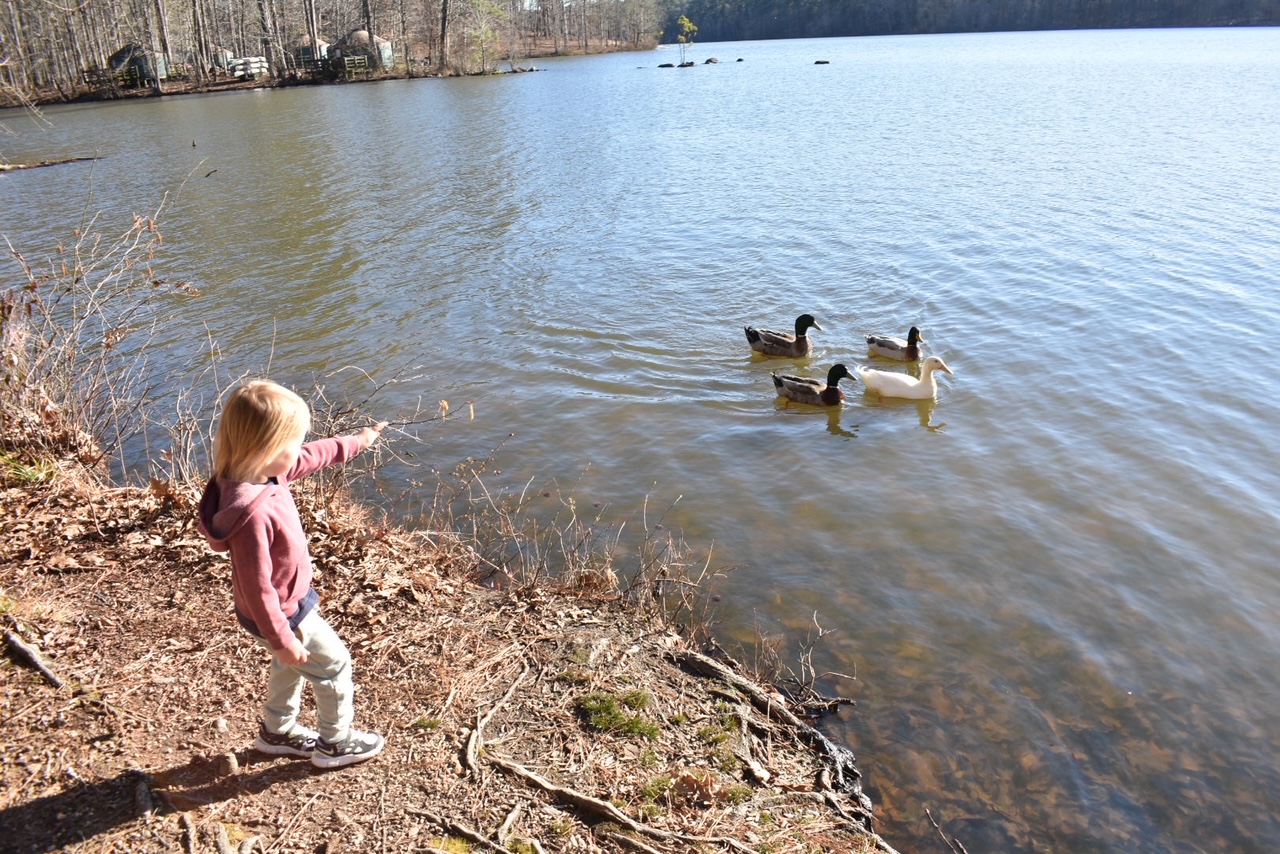 camping with toddler