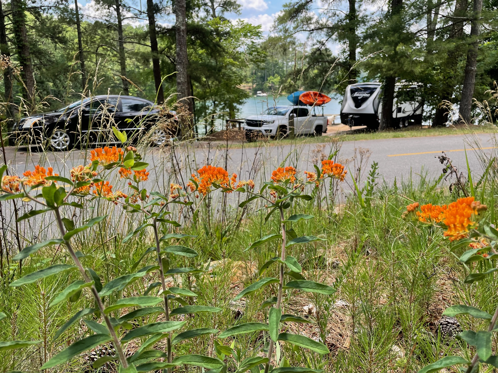 McKinney Campground