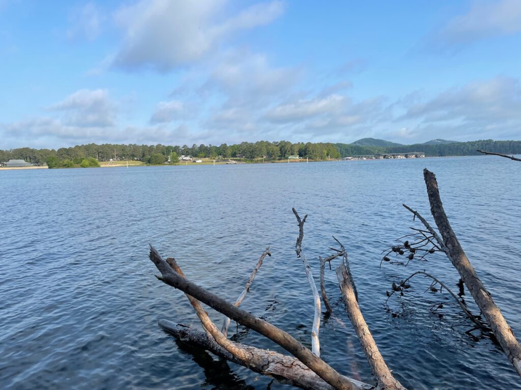 lake allatoona