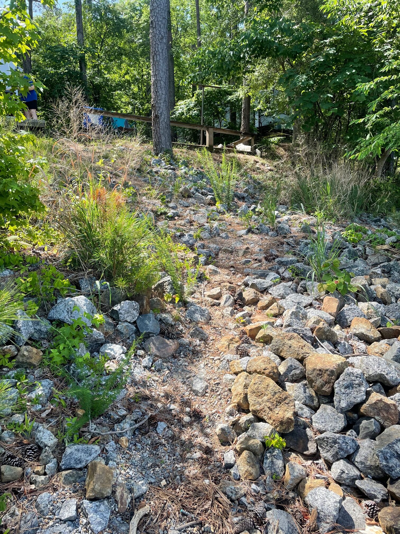 water entry site 89 McKinney Campground