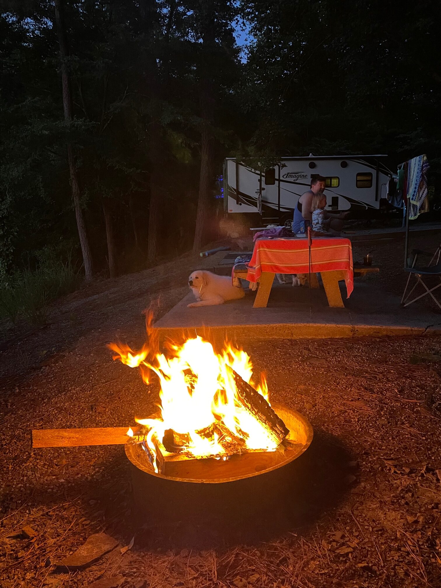 Clark Creek North Campground site 22 firepit