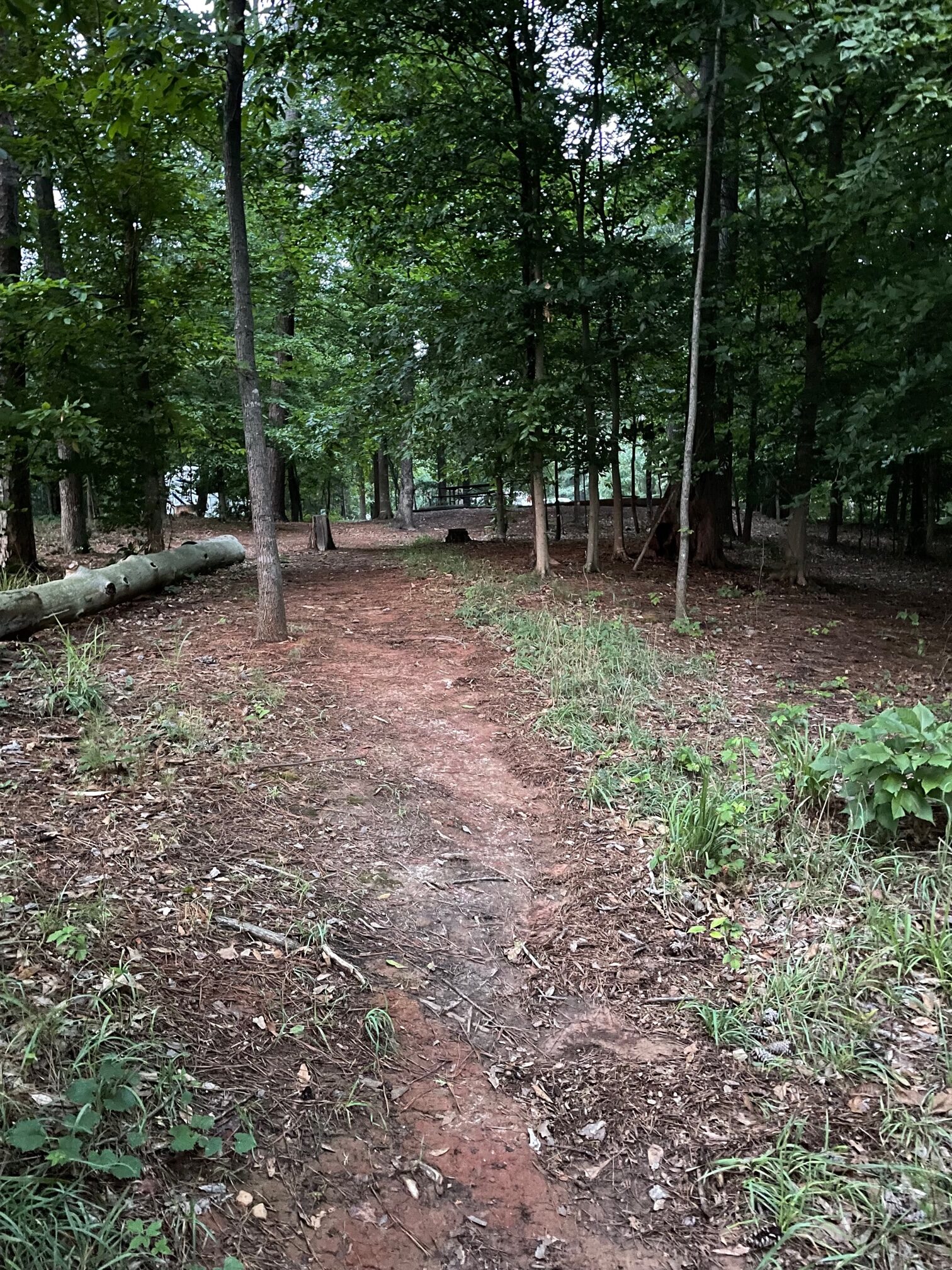 path from site 11