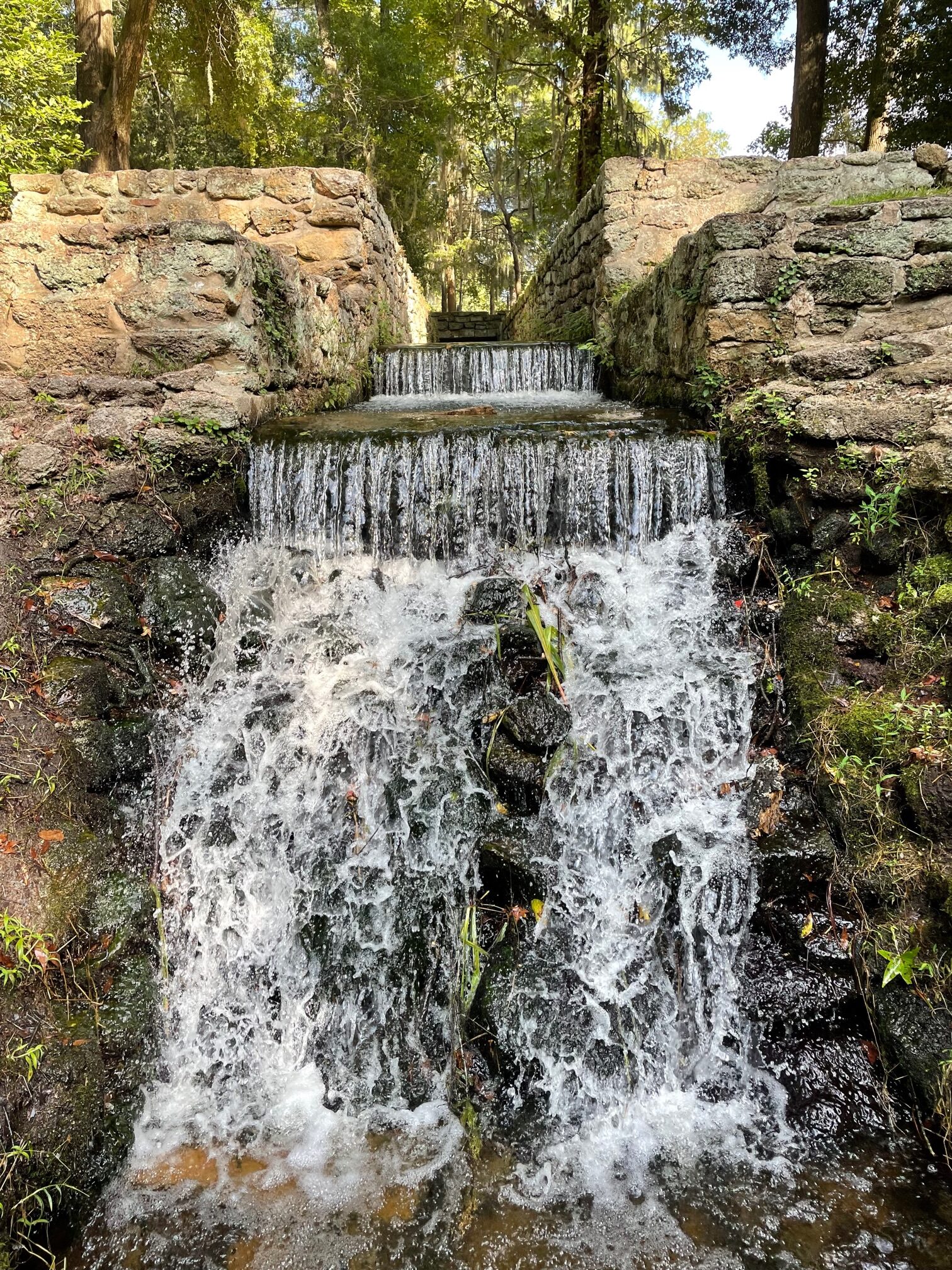 Poinsett State Park waterfall