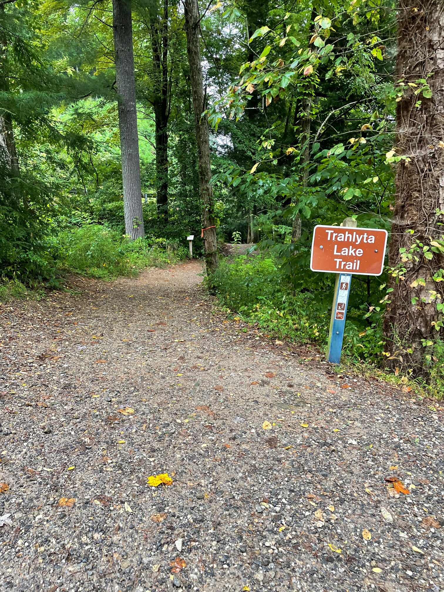 Vogel State Park trail