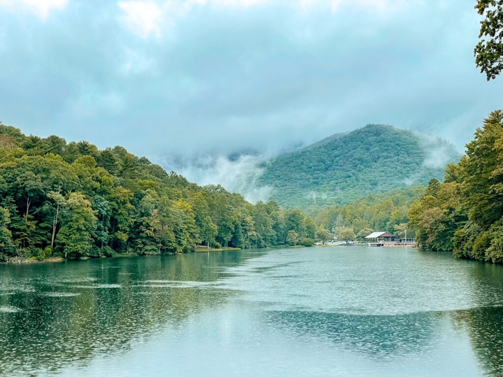 Vogel State Park