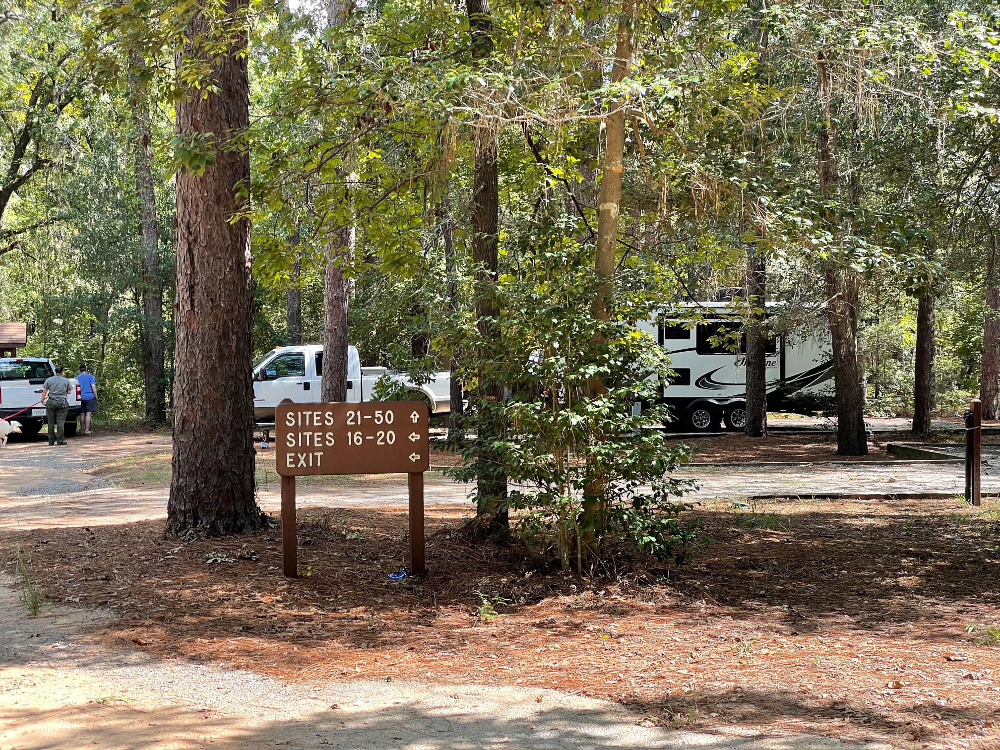 Poinsett State Park camping loop 