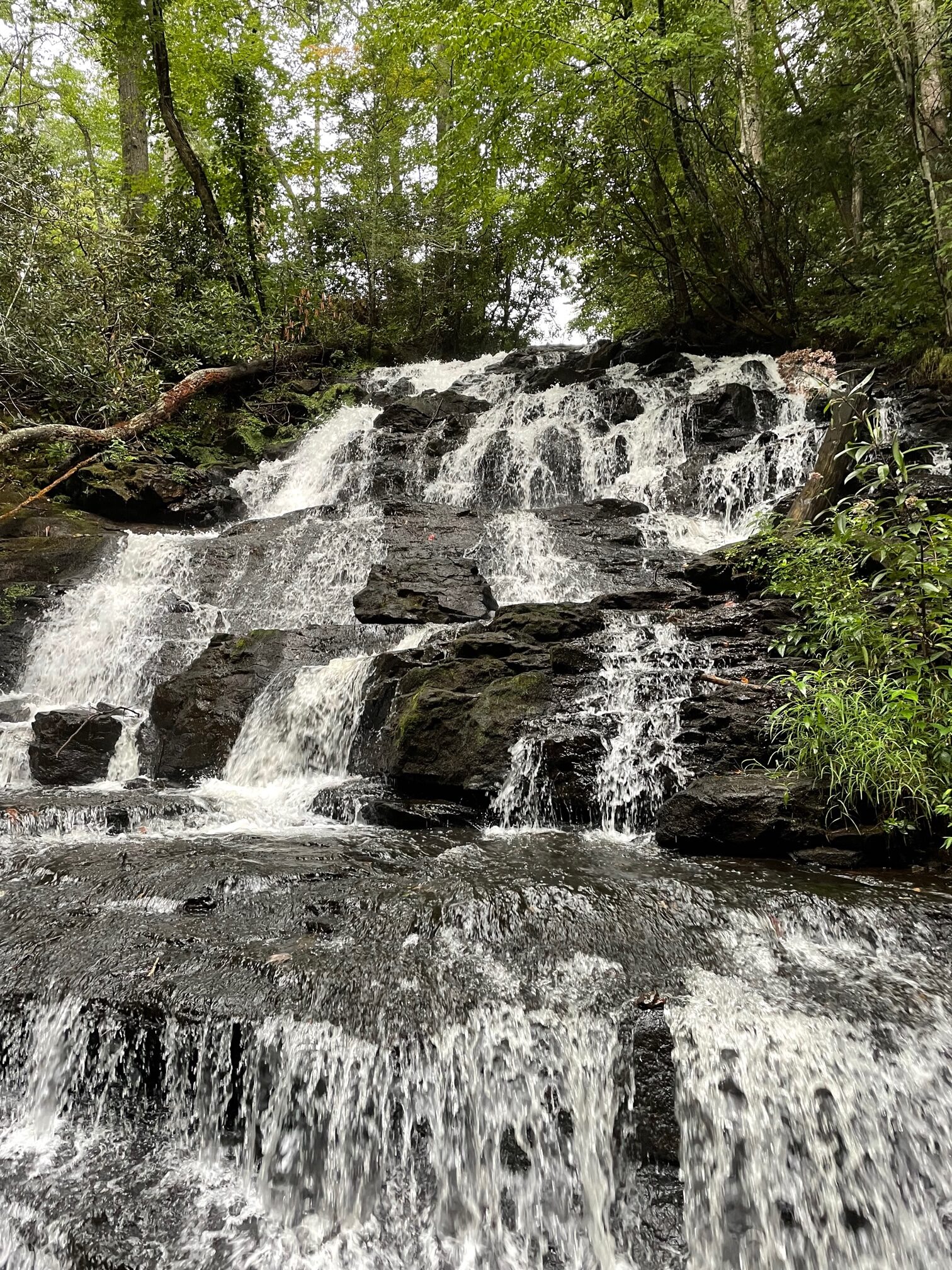 Vogel State Park waterfall