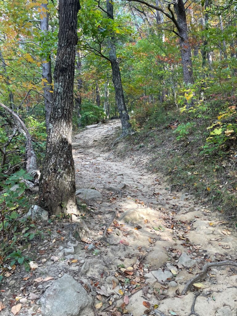 Fort Mountain State Park trail 