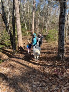 lake blue ridge hike