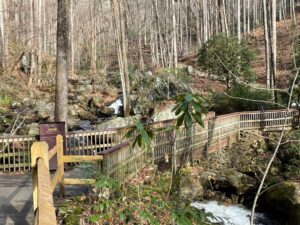 Anna Ruby Falls