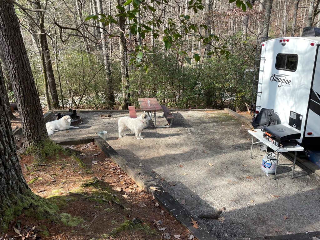Unicoi State Park and Lodge site 49 living space