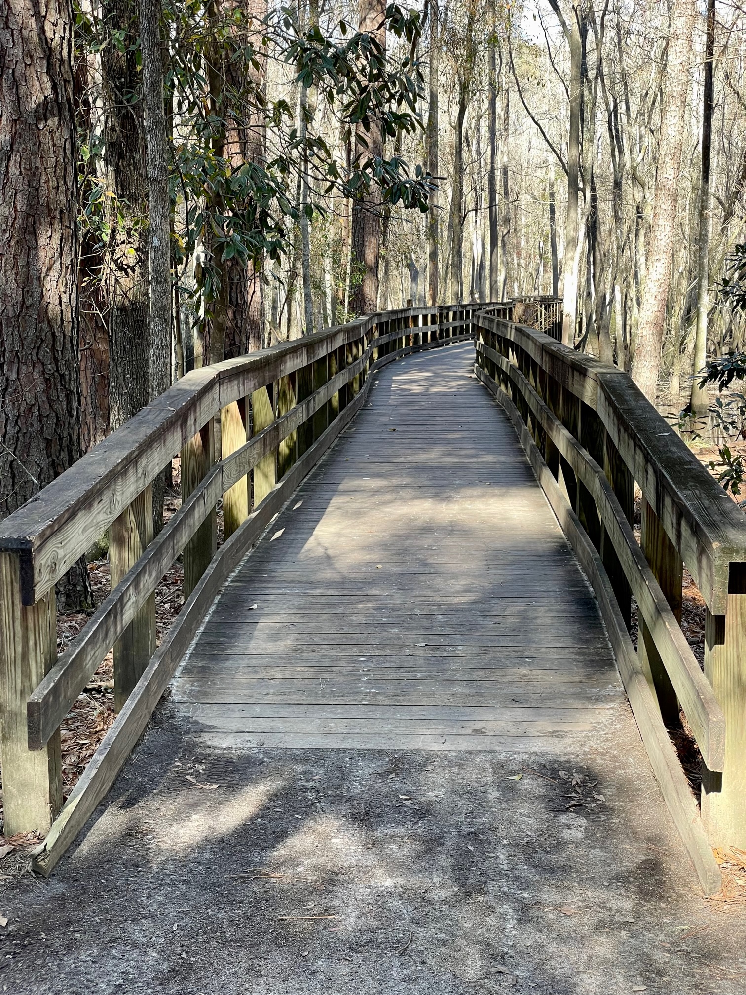 east-river-swamp-trail- | Imagine Camper