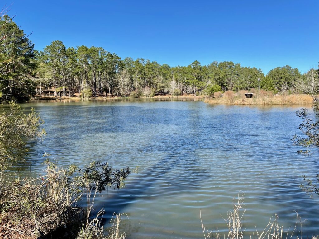 General Coffee State Park lake