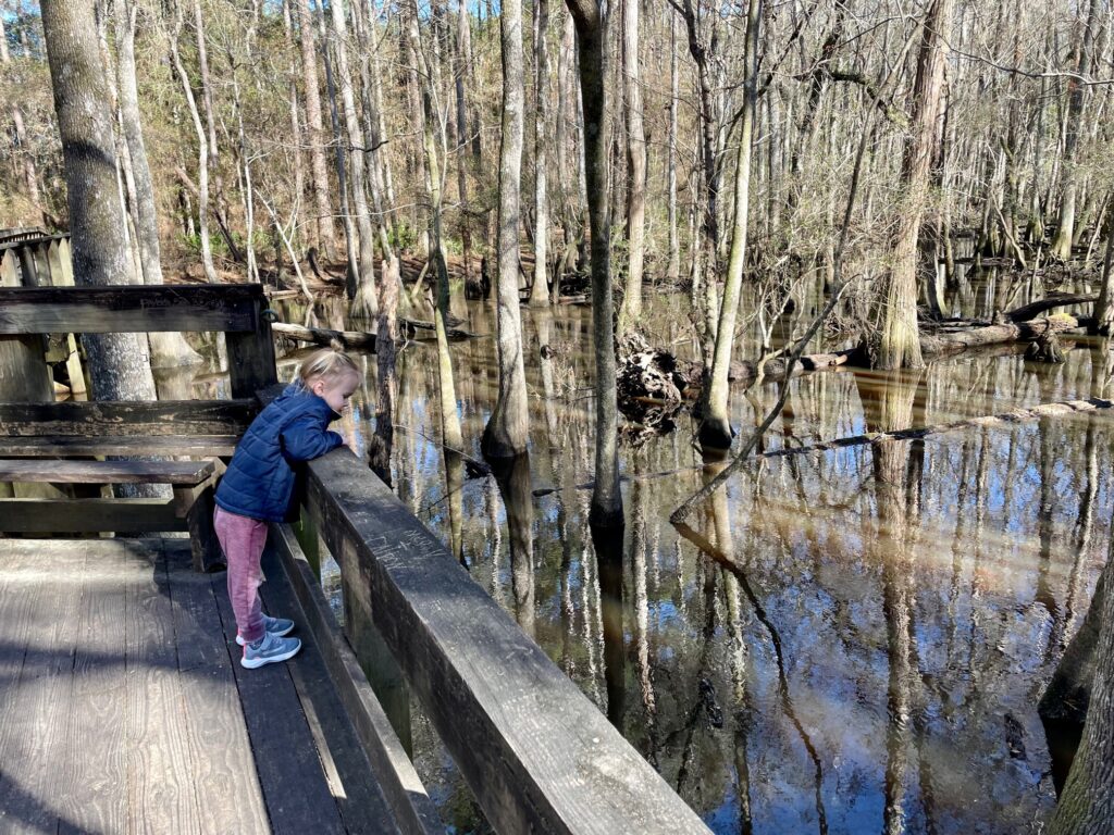 General Coffee State Park East River Swamp Trail