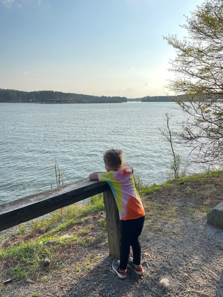 camping lake allatoona 