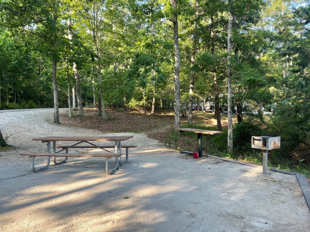 Ridge Road Campground site 51 