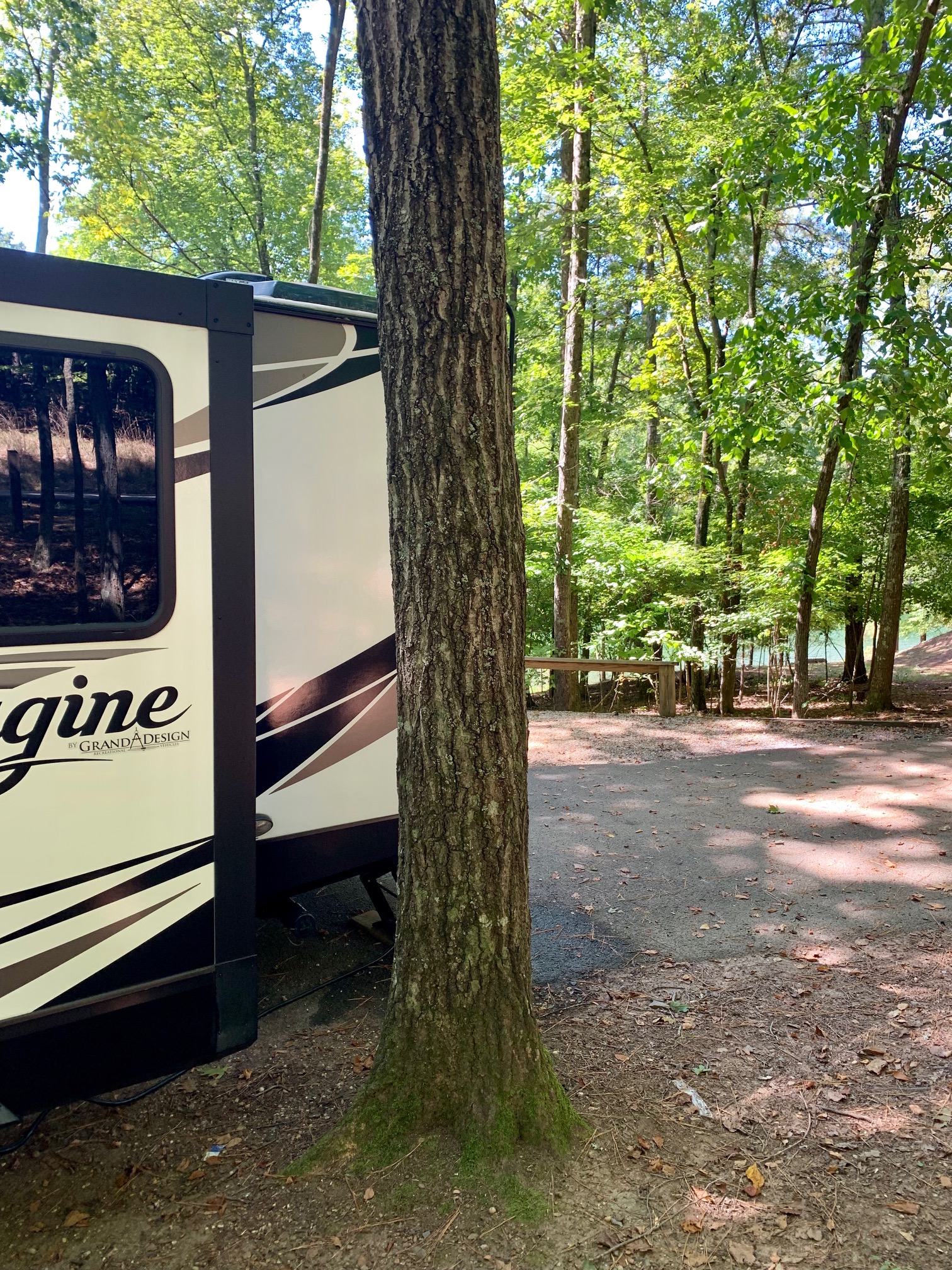 site-55-tree | Imagine Camper