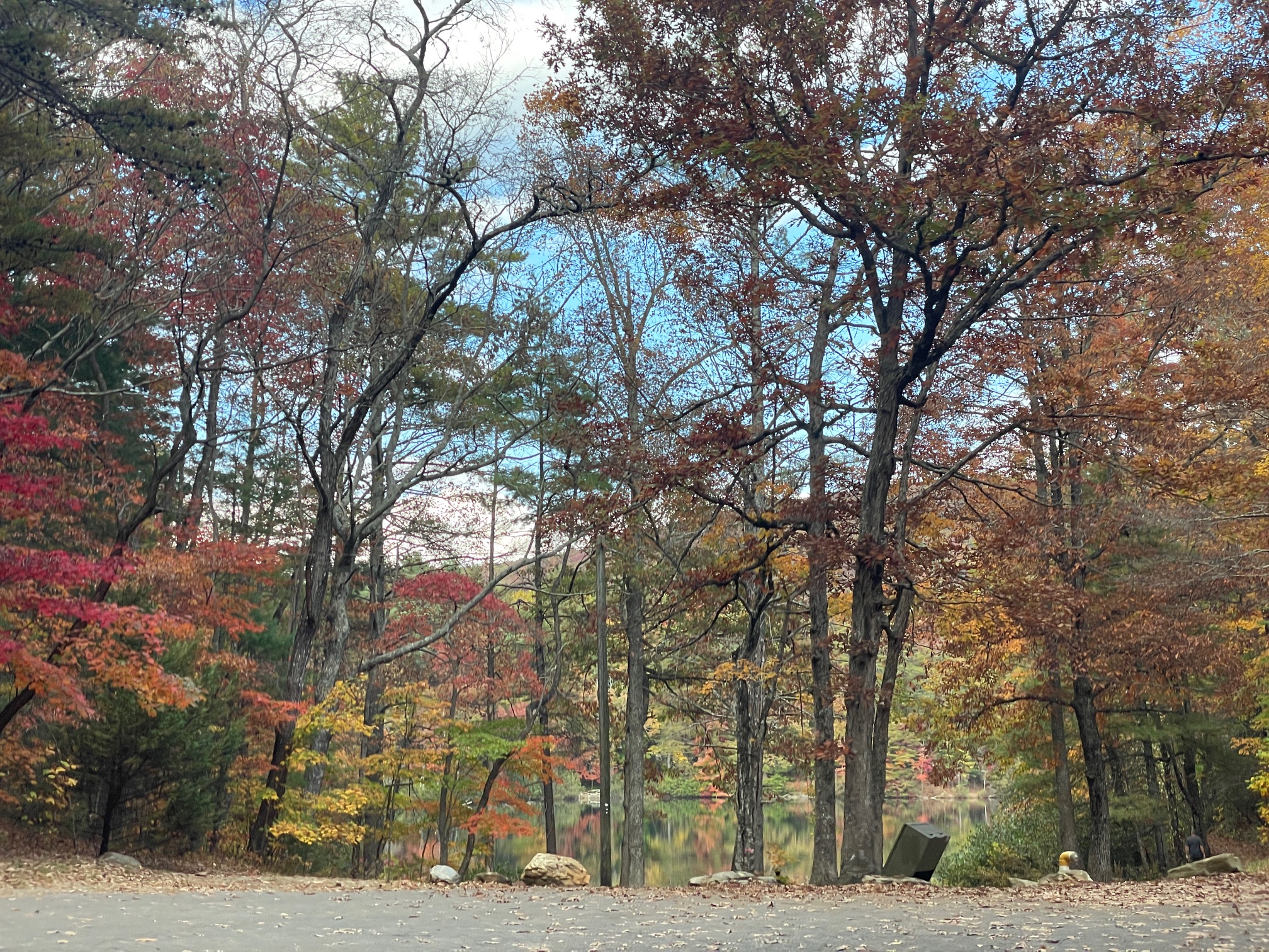 Fort Mountain State Park fall colors - State Parks