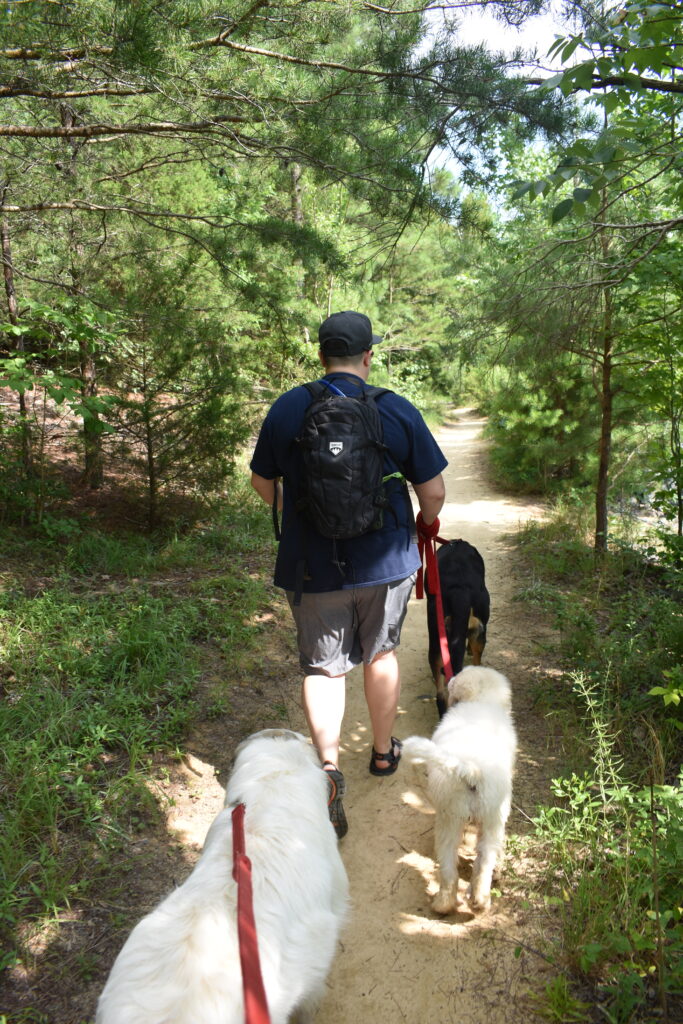 hiking with dogs