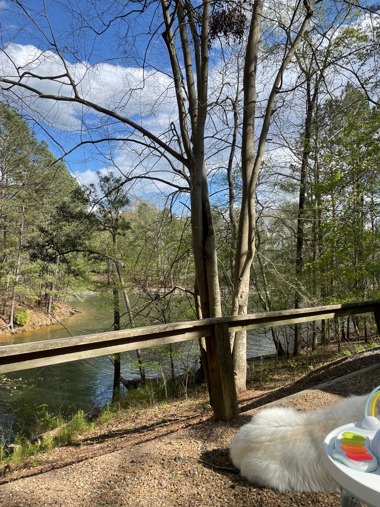 Mckinney-campground-site-100-view 