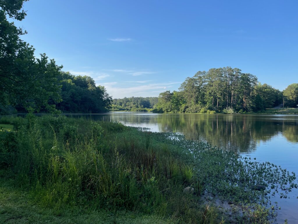 Hard Labor Creek State Park