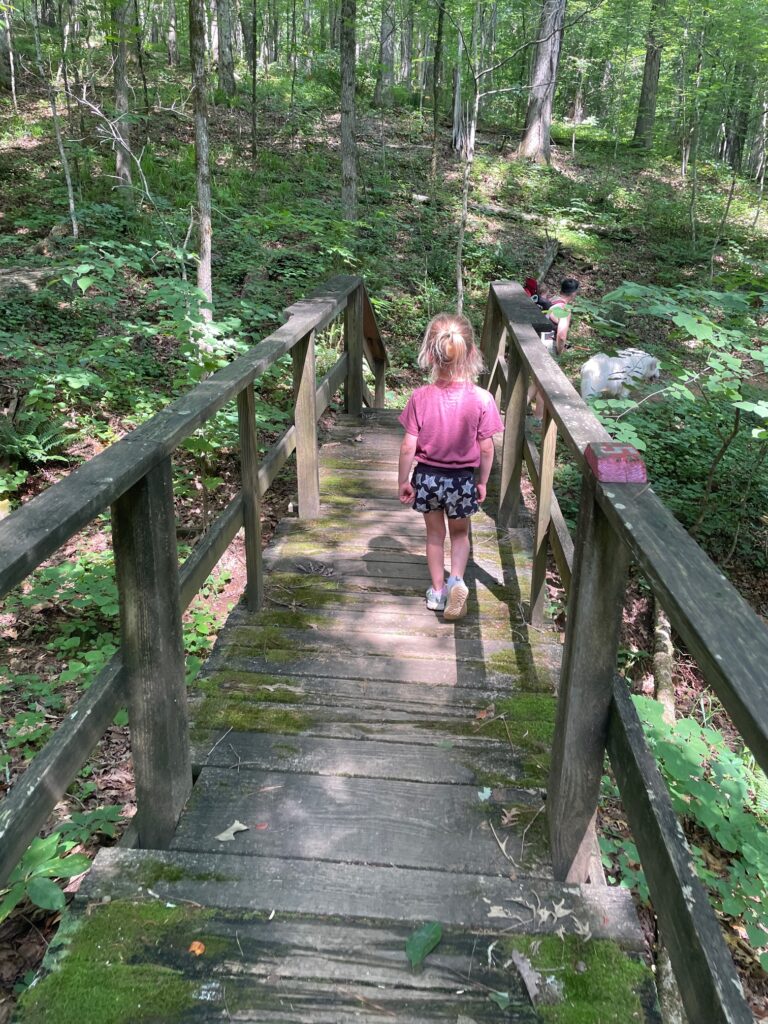 Hard Labor Creek State Park bridge 