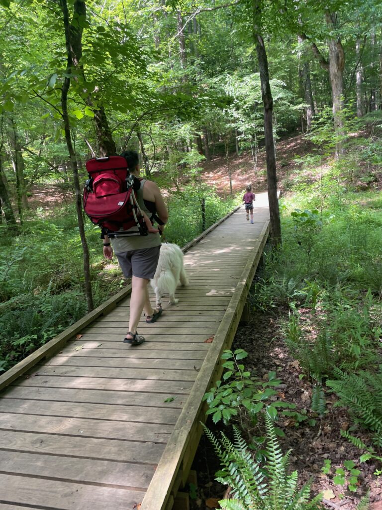 Hard Labor Creek State Park nature trails