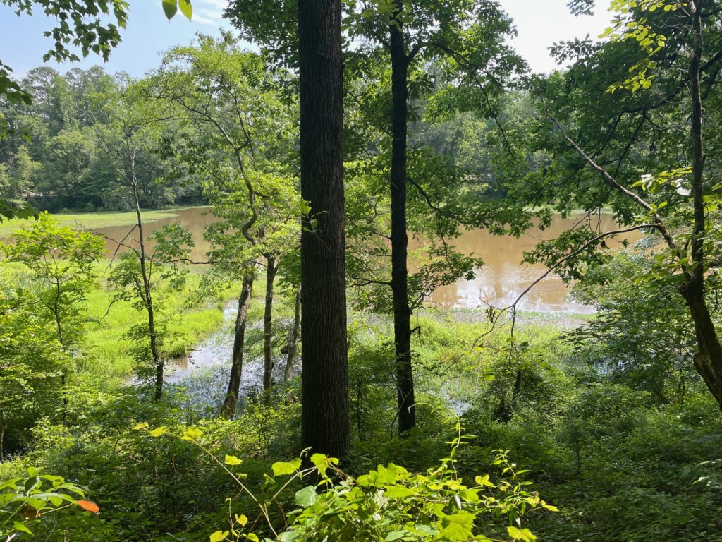 Hard Labor Creek State Park nature trails