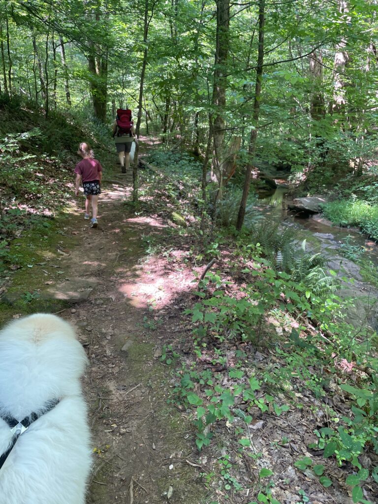 Hard Labor Creek State Park nature walk