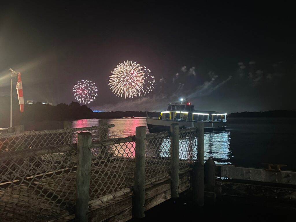 magic kingdom fireworks 