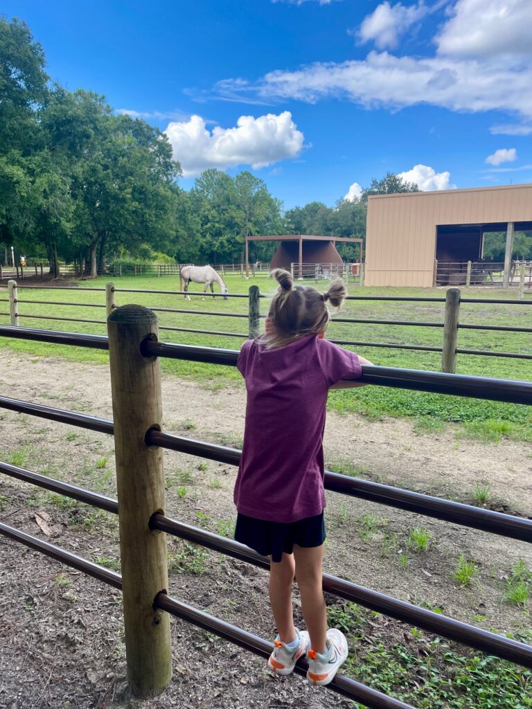 Fort Wilderness RV Resort