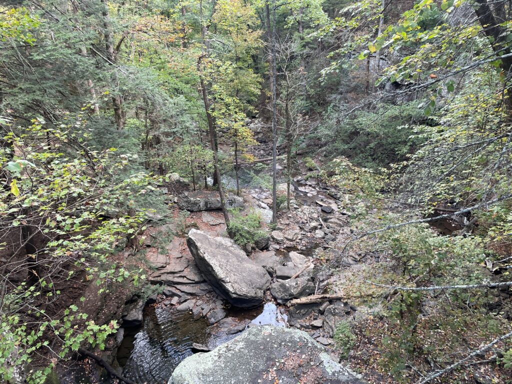 Cloudland Canyon State Park