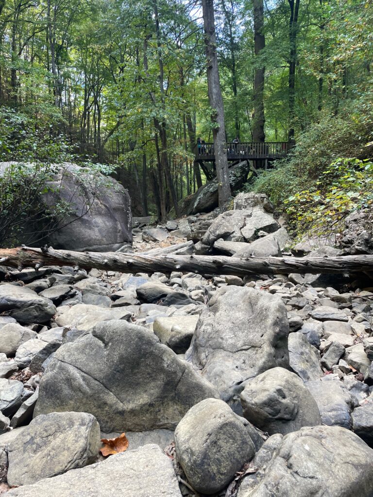 Cloudland Canyon State Park