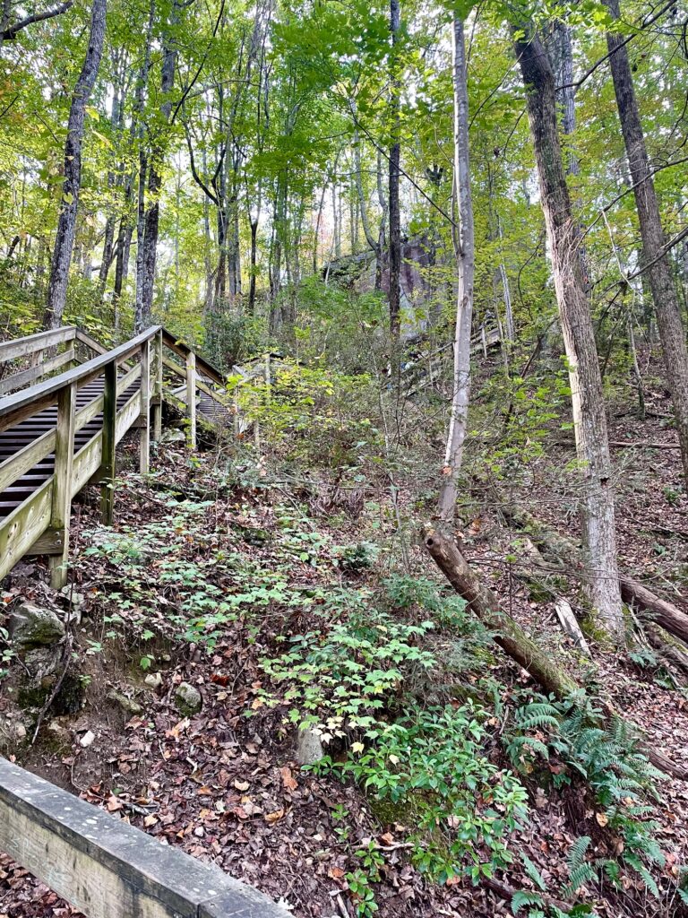 Cloudland Canyon State Park